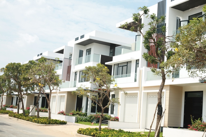 Hình ảnh thực tế Lucasta Villa