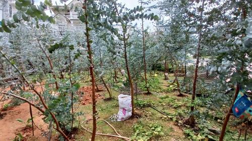 Nhà mặt tiền Quang Trung - Gò Vấp đẹp giá tốt, sở hữu ngay.