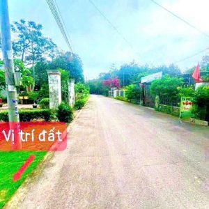 Căn siêu phẩm Lê Đức Thọ, Gò Vấp - Chưa từng rao bán - Giảm sâu 11.6 tỷ!