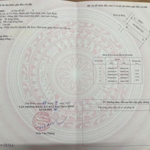 Biệt thự Hoa Bằng Tân Sơn Nhì: Không gian sống sang trọng, 4 tầng rộng rãi - sở hữu ngay!