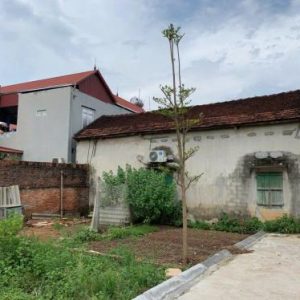 Nhà phố Gò Vấp, Phường 5 - 39m², 3PN, 2 Tầng - Giá Chỉ 3.35 Tỷ!