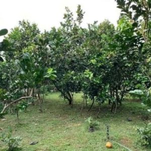 Nhà 2 tầng đẹp, mặt hẻm rộng, Bình Tân - Giáp Tân Phú, sổ đỏ vuông vức, giá ưu đãi