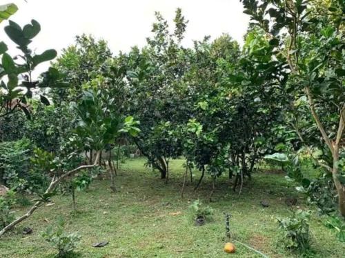 Nhà 2 tầng đẹp, mặt hẻm rộng, Bình Tân - Giáp Tân Phú, sổ đỏ vuông vức, giá ưu đãi