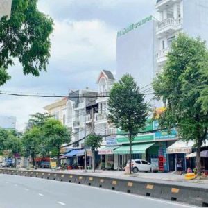 Sở hữu biệt thự phố VIP Tân Phú, mặt tiền kinh doanh, siêu thuận lợi!