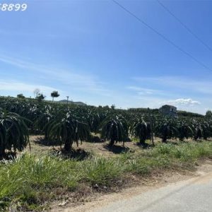 Siêu phẩm Tân Sơn Nhì - Biệt thự 5 tầng, đường rộng 20m, giá hấp dẫn 10.6 tỷ