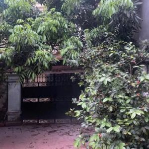 Nhà 2 tầng Tân Sơn Nhì, Trung tâm Tân Phú - Diện tích 36m2 đẹp giá tốt