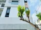 Phối cảnh mặt tiền nhà 144/4 lê văn thọ phường 11 gò vấp